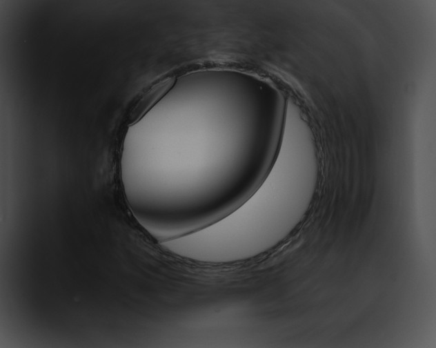 X0000090631160200707171130