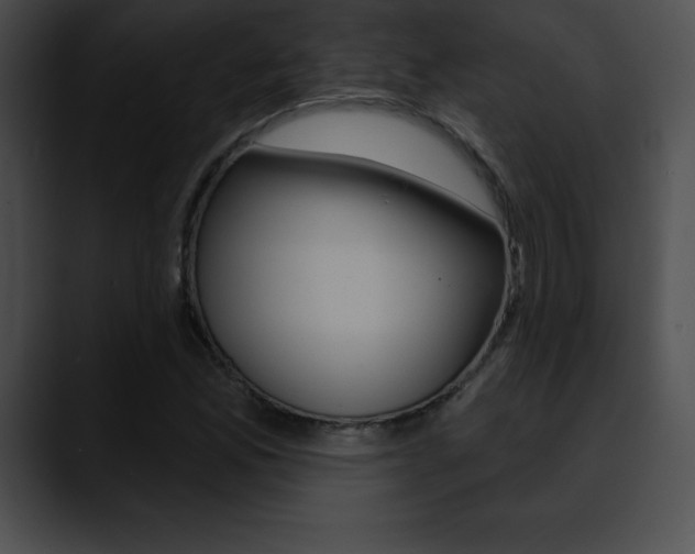 X0000090631165200707171130