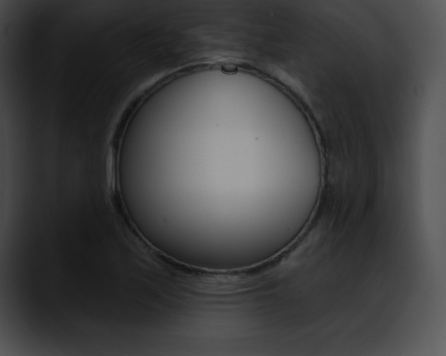 X0000090631171200707171129
