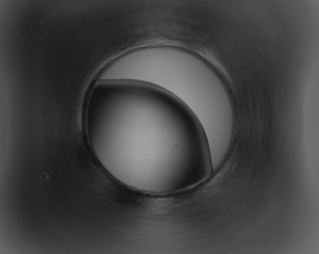 X0000090631173200707171129