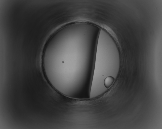 X0000090631183200707171129