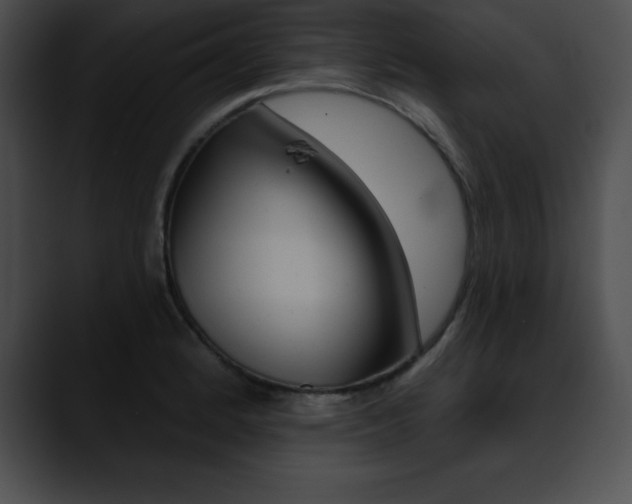 X0000090631184200707171129