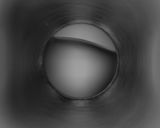 X0000090631185200707171129