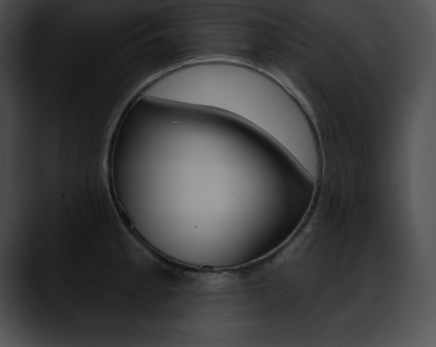 X0000090631189200707171129