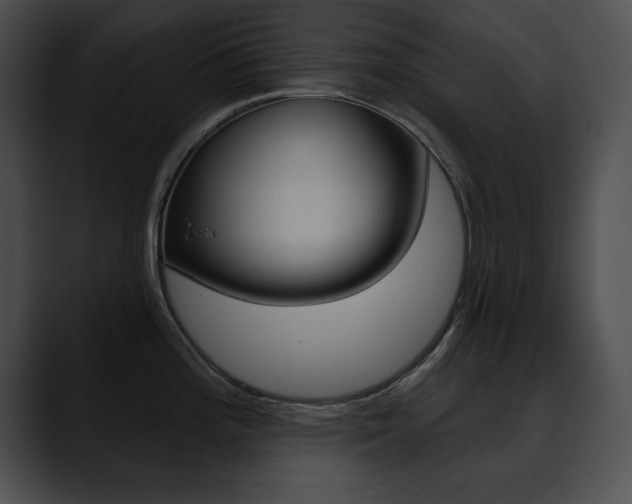 X0000090631196200707171129