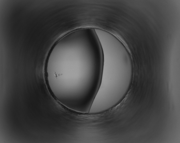 X0000090631197200707171129