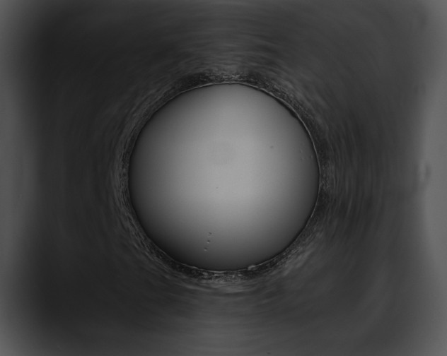X0000090631201200707171129