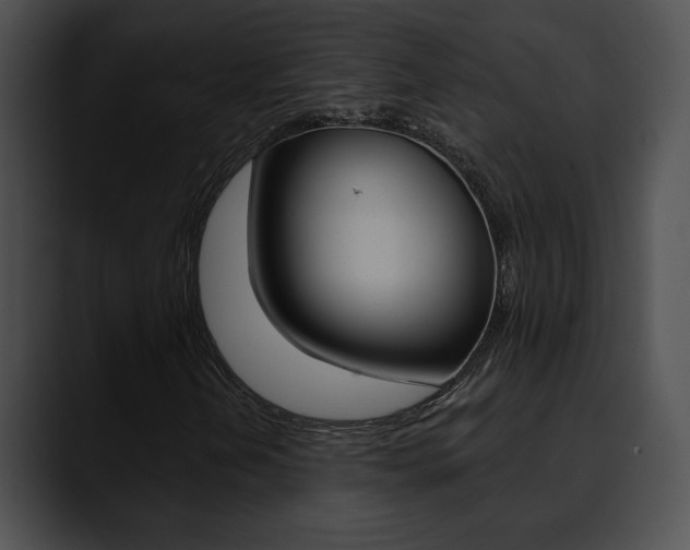 X0000090631202200707171129
