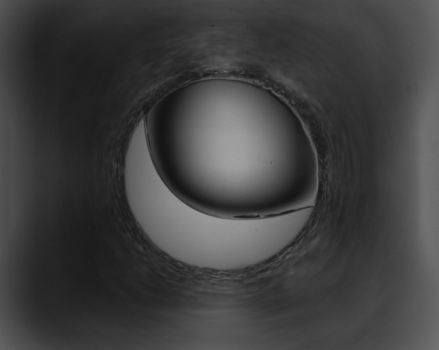 X0000090631206200707171129