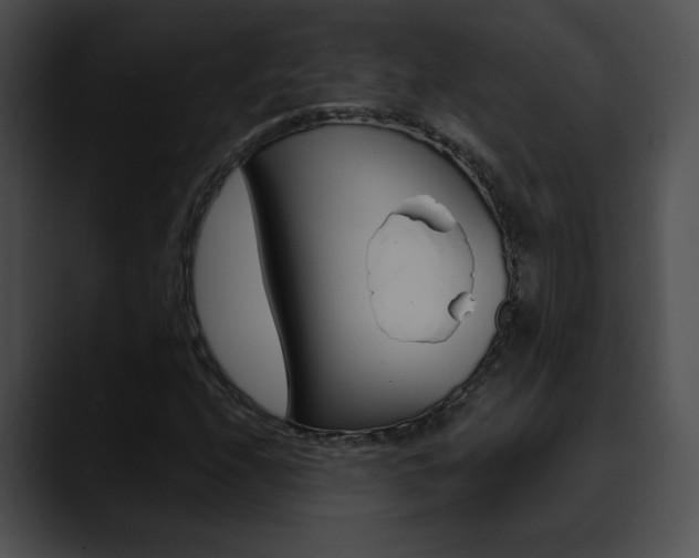 X0000090631208200707171129