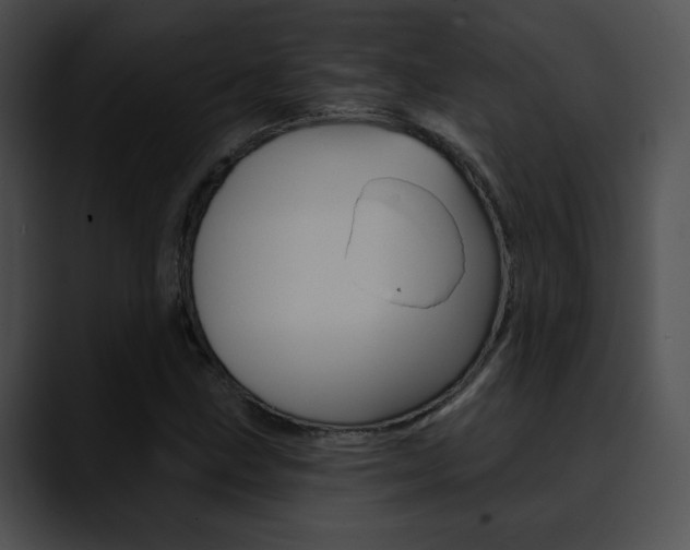 X0000090631211200707171129