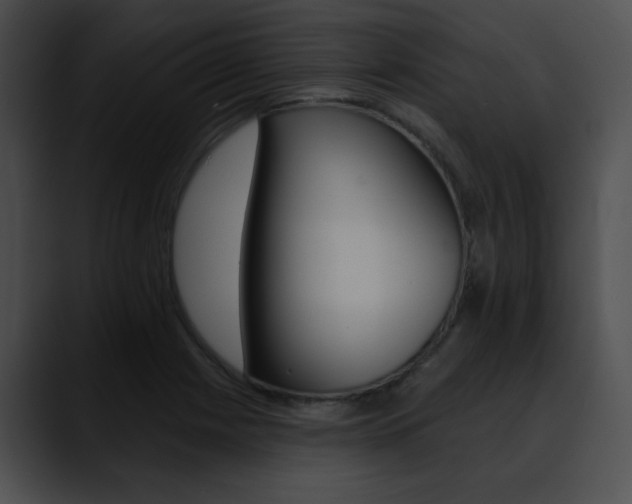 X0000090631225200707171129