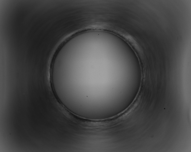 X0000090631232200707171129