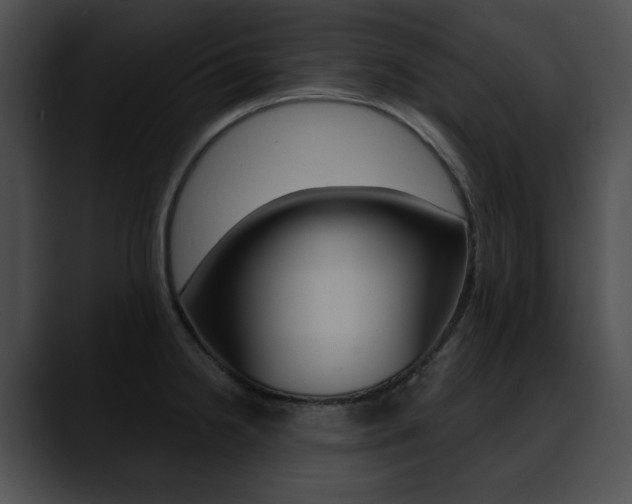 X0000090631238200707171129