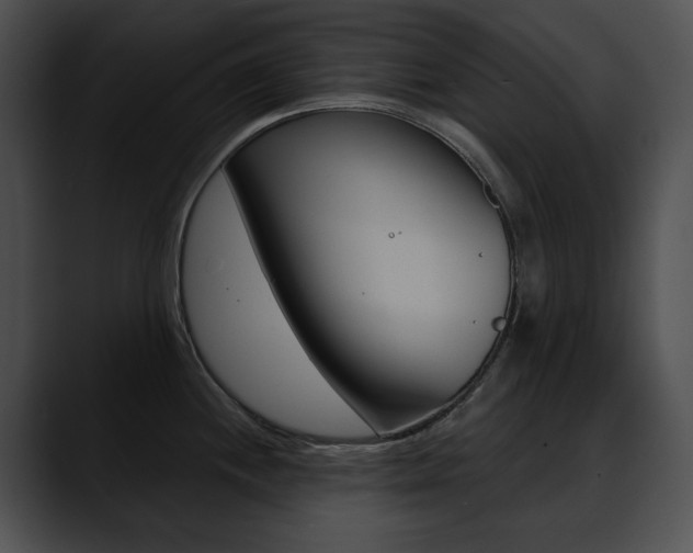 X0000090631244200707171129