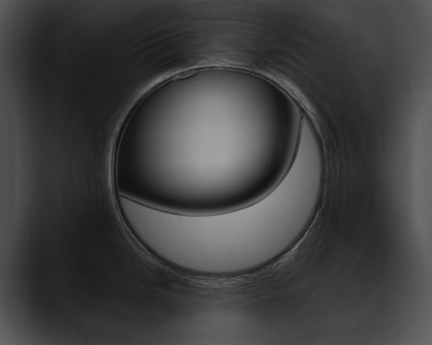 X0000090631246200707171129