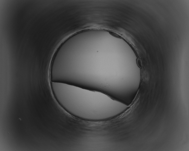 X0000090631247200707171129