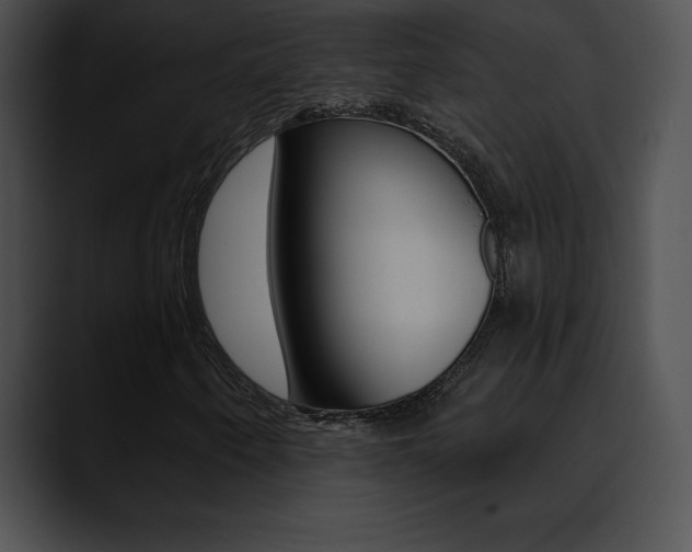 X0000090631250200707171129