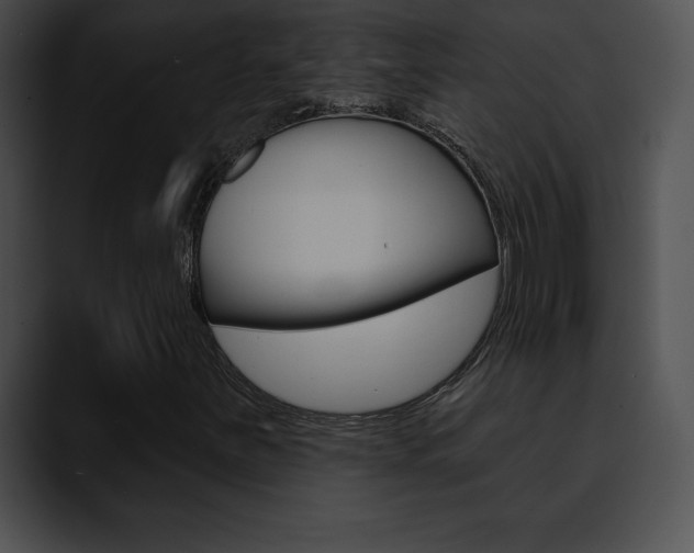 X0000090631251200707171129