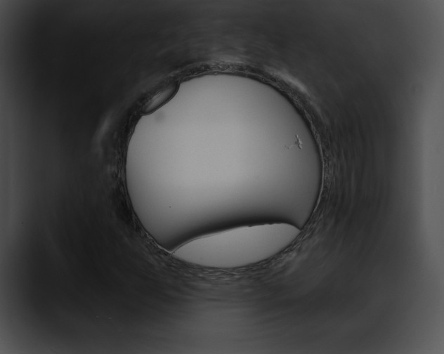 X0000090631255200707171128