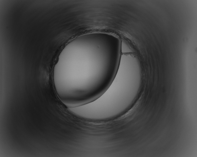 X0000090631257200707171128