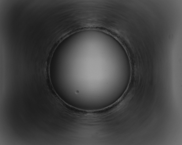 X0000090631265200707171128