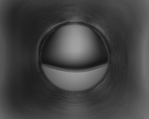X0000090631270200707171128