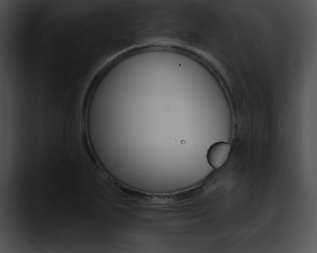 X0000090631271200707171128