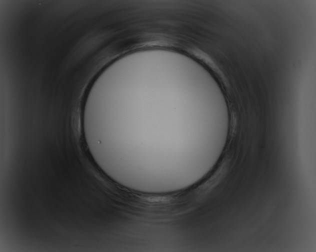 X0000090631274200707171128