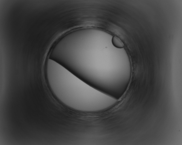 X0000090631275200707171128