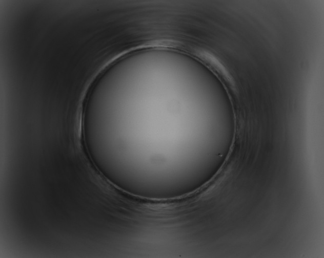 X0000090631276200707171128