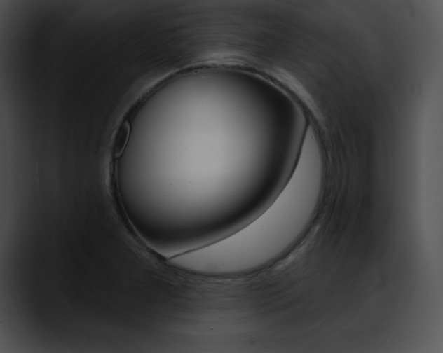 X0000090631277200707171128