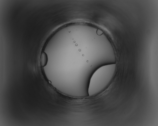 X0000090631279200707171128