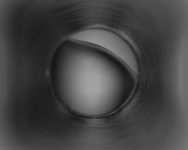 X0000090631281200707171128