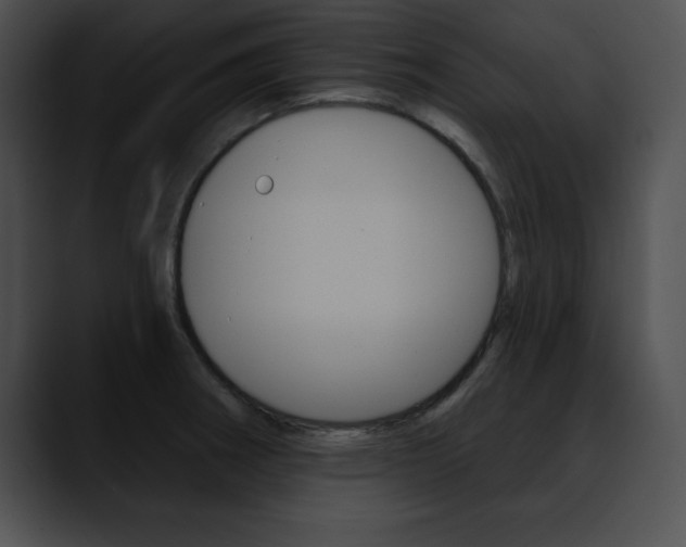 X0000090631282200707171128