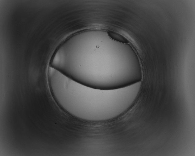 X0000090631283200707171128