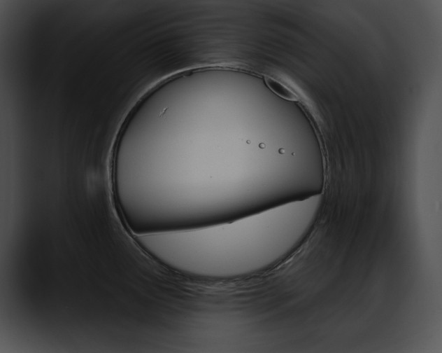 X0000090631291200707171128