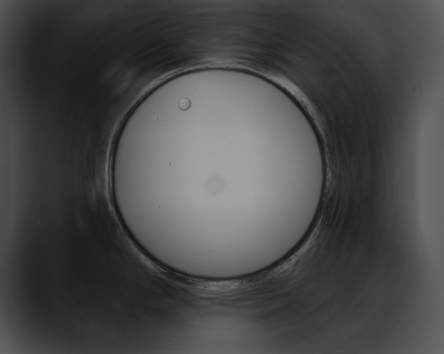 X0000090631294200707171128