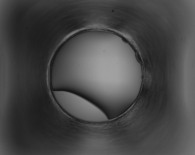 X0000090631295200707171128