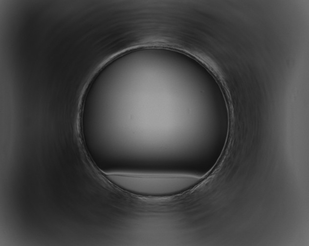 X0000090631296200707171128