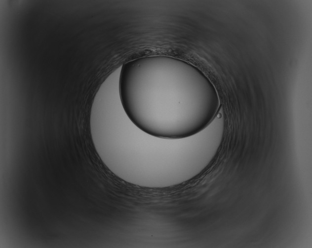 X0000090631298200707171127
