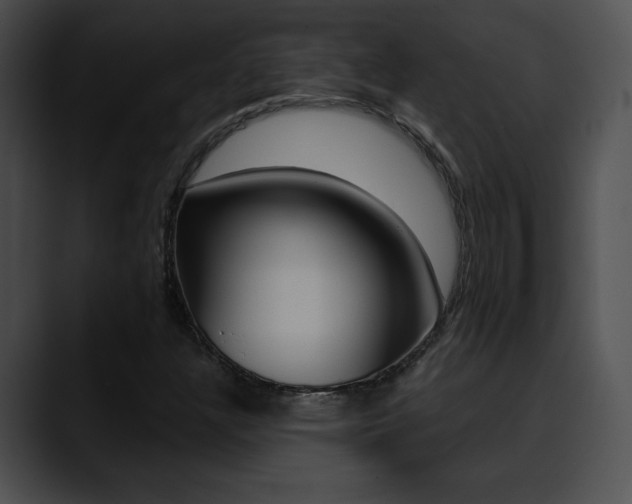 X0000090631304200707171128