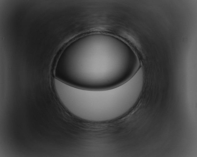 X0000090631308200707171128