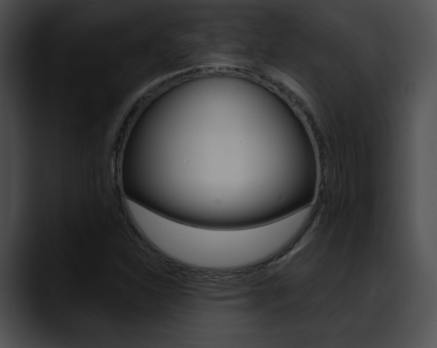 X0000090631310200707171128