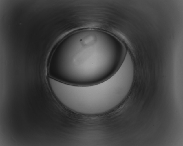 X0000090631324200707171128