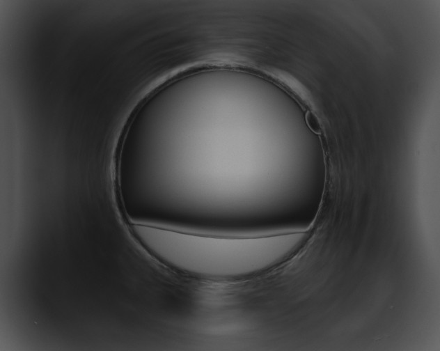 X0000090631335200707171128