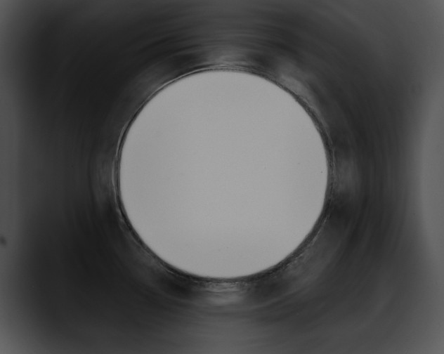 X0000090631338200707171128