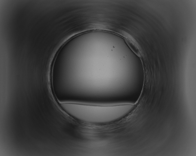 X0000090631339200707171128