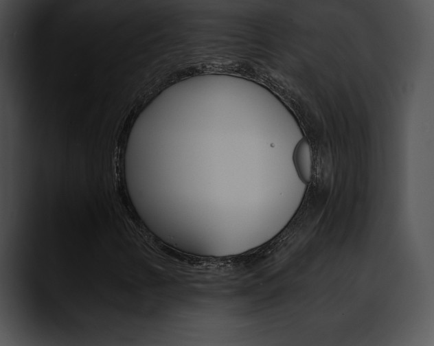 X0000090631346200707171127