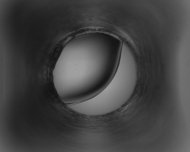 X0000090631352200707171127